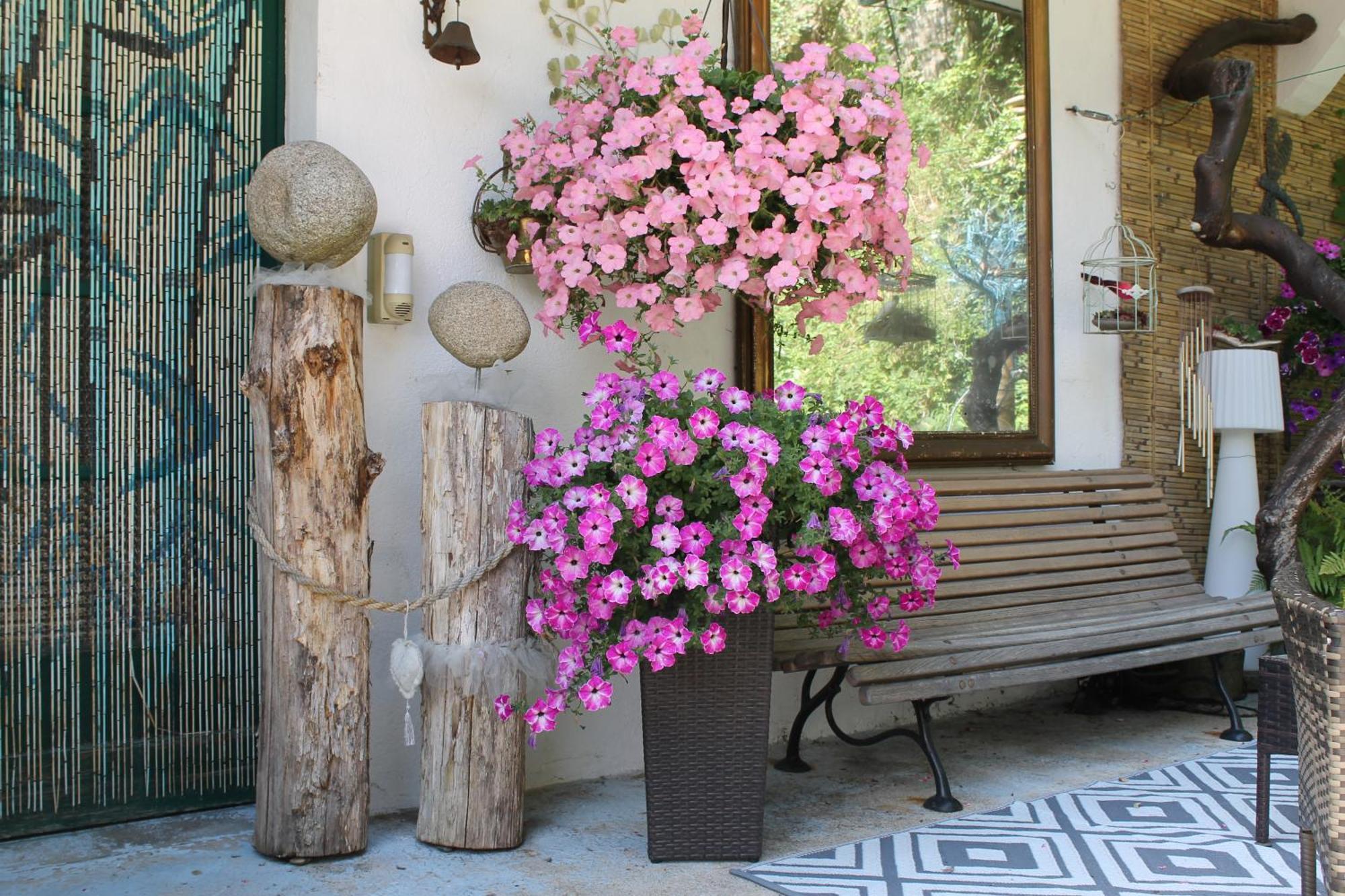Chambre Bounty, B&B, Cuisine Privee, Lit Queen Size, Terrasse, Parking, Garage Olliergues Εξωτερικό φωτογραφία